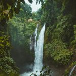 pexels ollivves 931007